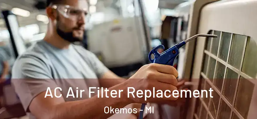 AC Air Filter Replacement Okemos - MI
