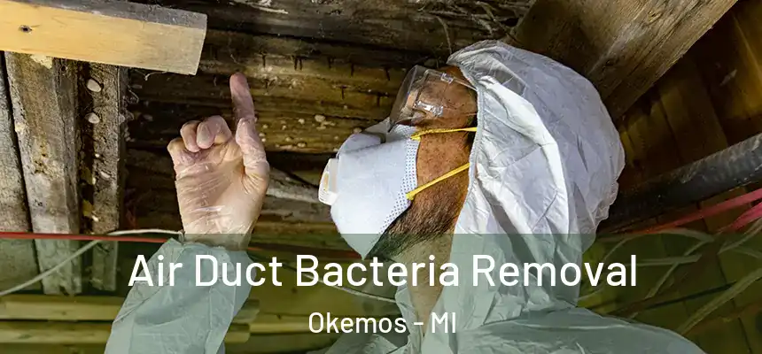 Air Duct Bacteria Removal Okemos - MI