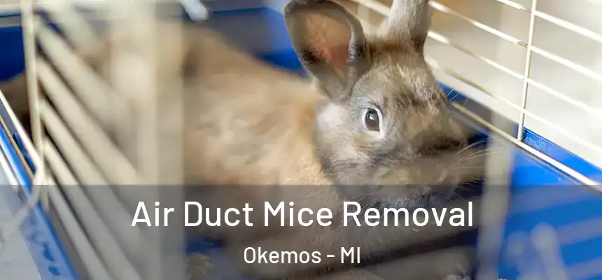  Air Duct Mice Removal Okemos - MI