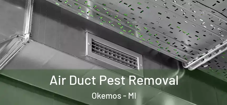 Air Duct Pest Removal Okemos - MI