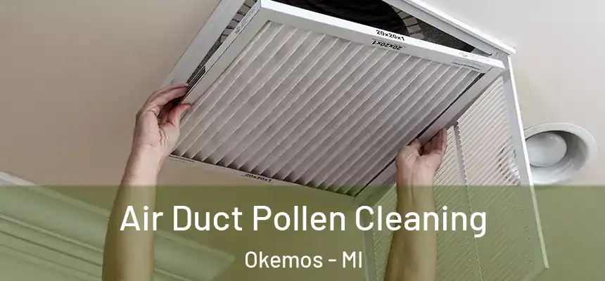 Air Duct Pollen Cleaning Okemos - MI