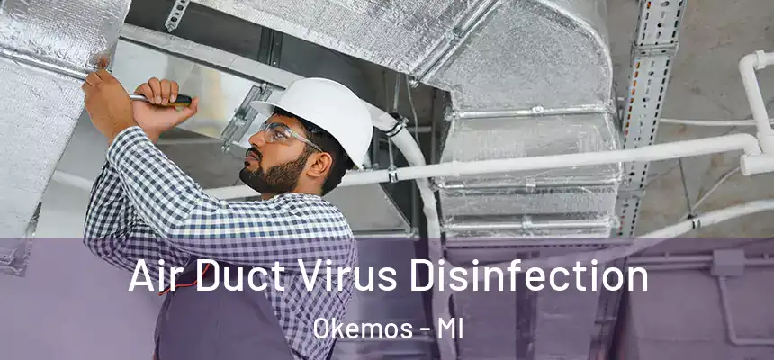  Air Duct Virus Disinfection Okemos - MI