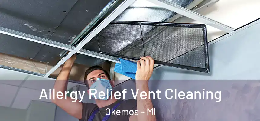  Allergy Relief Vent Cleaning Okemos - MI