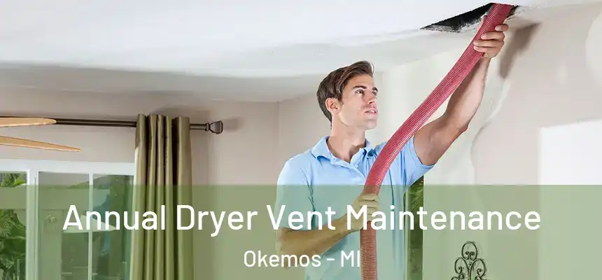 Annual Dryer Vent Maintenance Okemos - MI