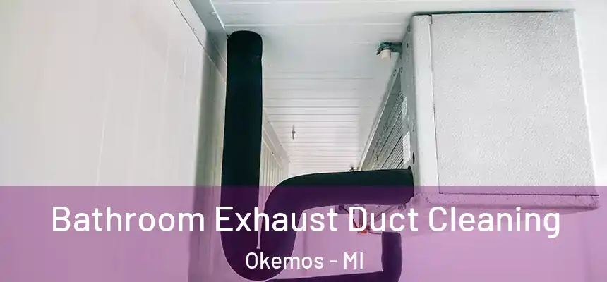  Bathroom Exhaust Duct Cleaning Okemos - MI
