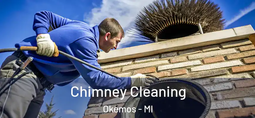 Chimney Cleaning Okemos - MI