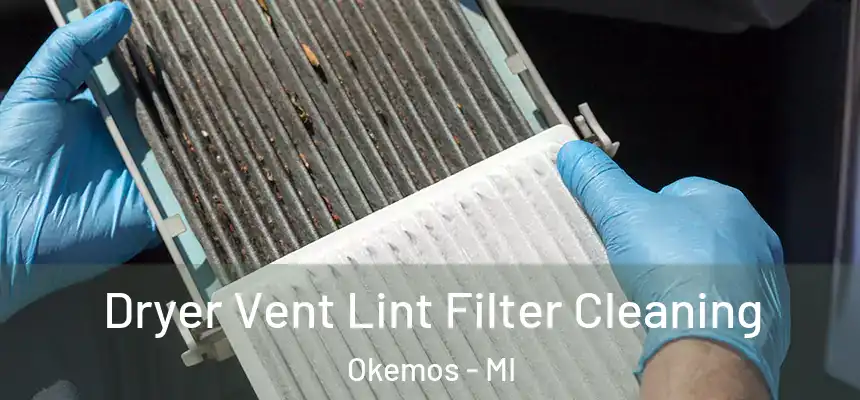  Dryer Vent Lint Filter Cleaning Okemos - MI