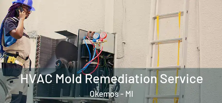 HVAC Mold Remediation Service Okemos - MI
