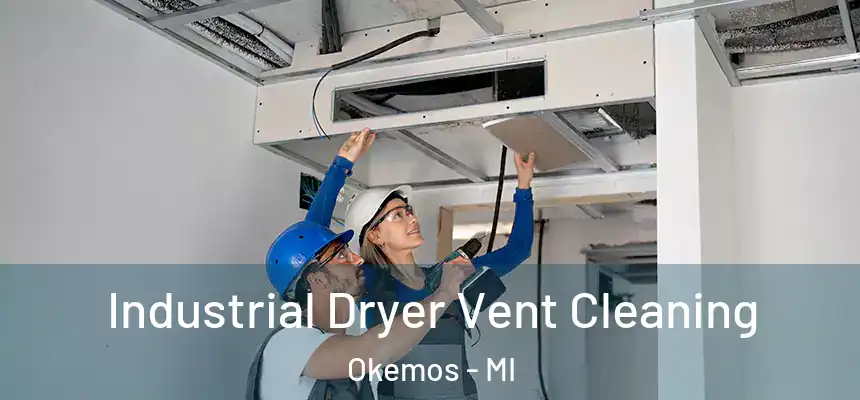  Industrial Dryer Vent Cleaning Okemos - MI