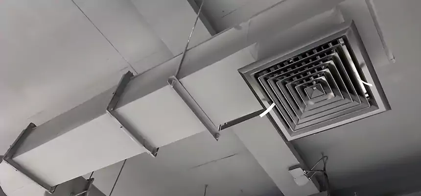 Our Pest Removal From Ducts Services in Okemos, MI