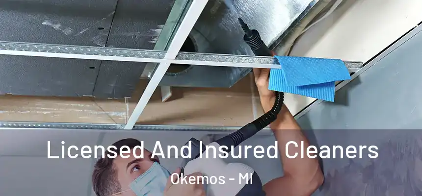  Licensed And Insured Cleaners Okemos - MI