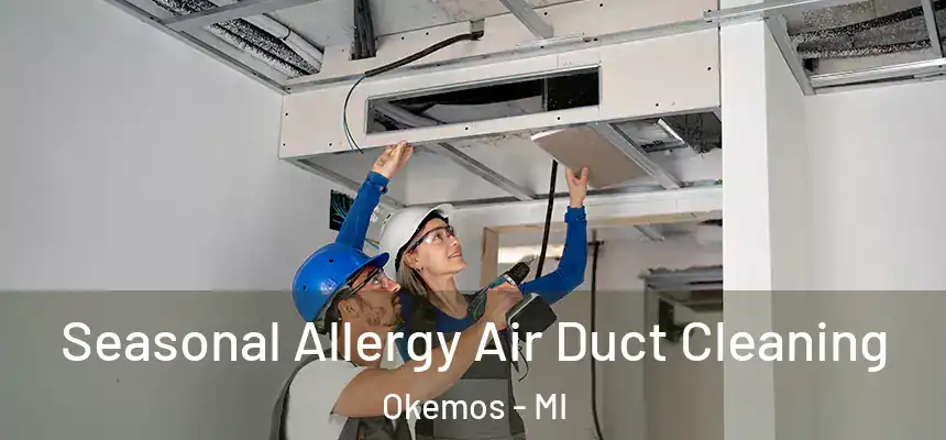  Seasonal Allergy Air Duct Cleaning Okemos - MI