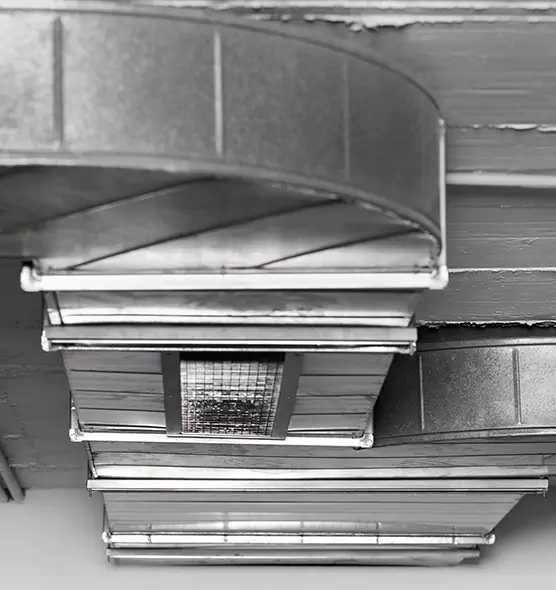 Professional Air Duct Pet Hair Removal in Okemos, MI