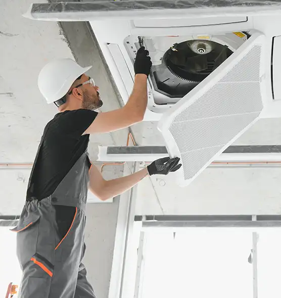 About Air Duct Rodent Removal in Okemos, MI