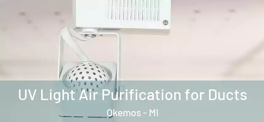  UV Light Air Purification for Ducts Okemos - MI