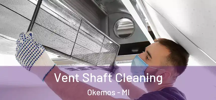  Vent Shaft Cleaning Okemos - MI