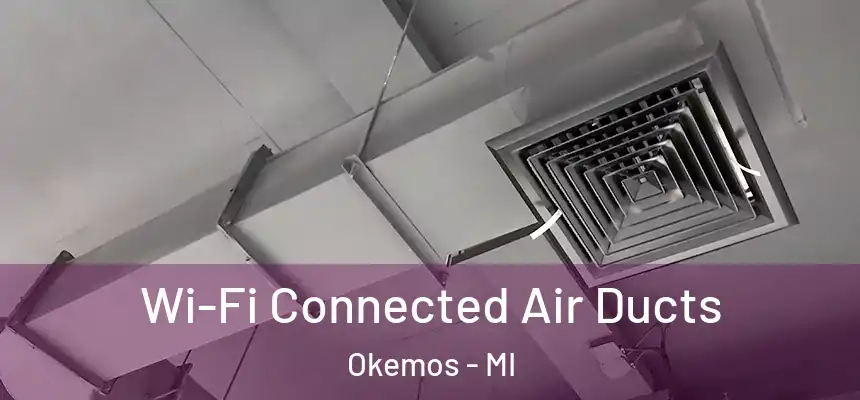 Wi-Fi Connected Air Ducts Okemos - MI